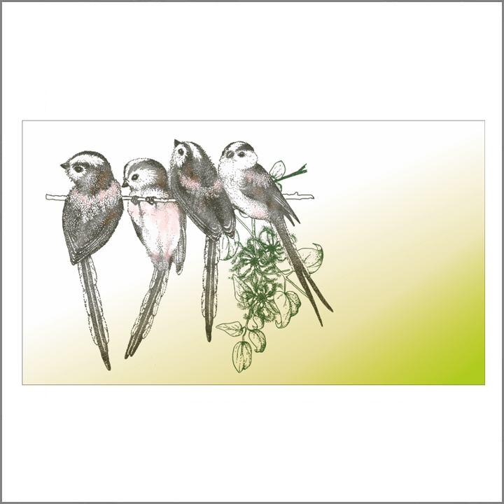 2020 Staartmeesjes.jpg